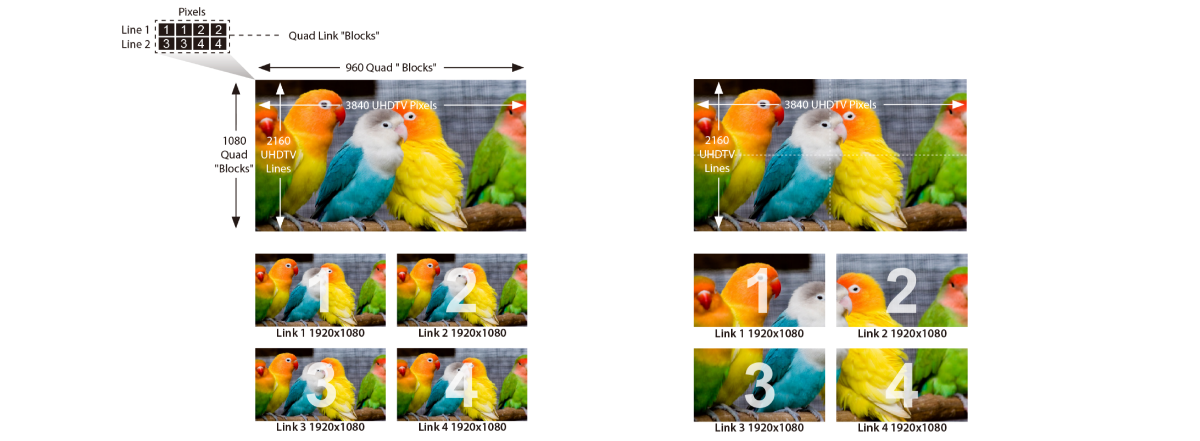 SDI 訊號的多樣性