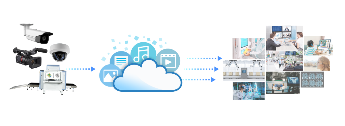Pro AV vs. AV cover IP的差異